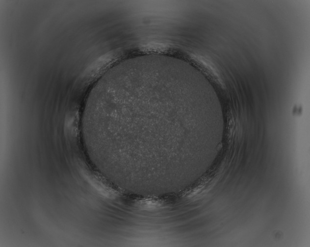 X0000091550498200708241758