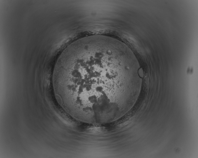 X0000091550499200708241758