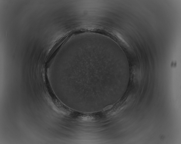 X0000091550500200708241758
