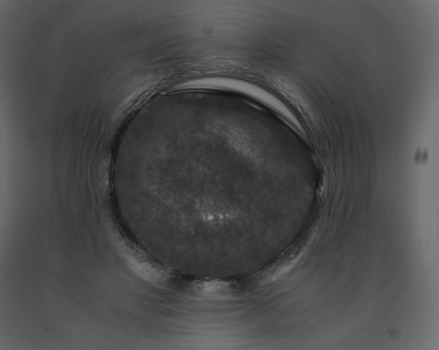 X0000091550501200708241758