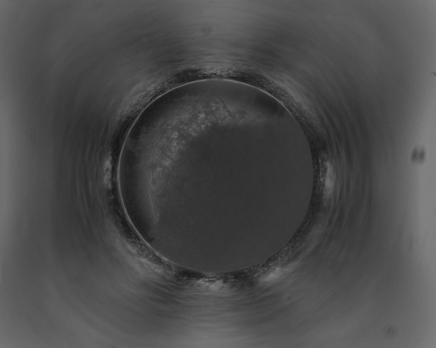 X0000091550502200708241758
