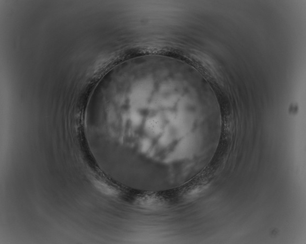 X0000091550503200708241758