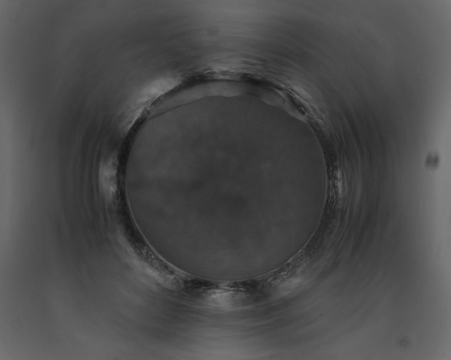 X0000091550504200708241758