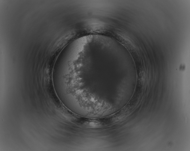 X0000091550506200708241758