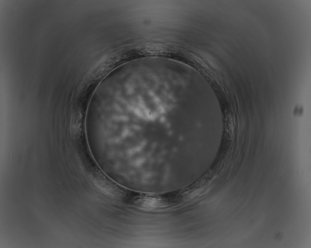 X0000091550507200708241758
