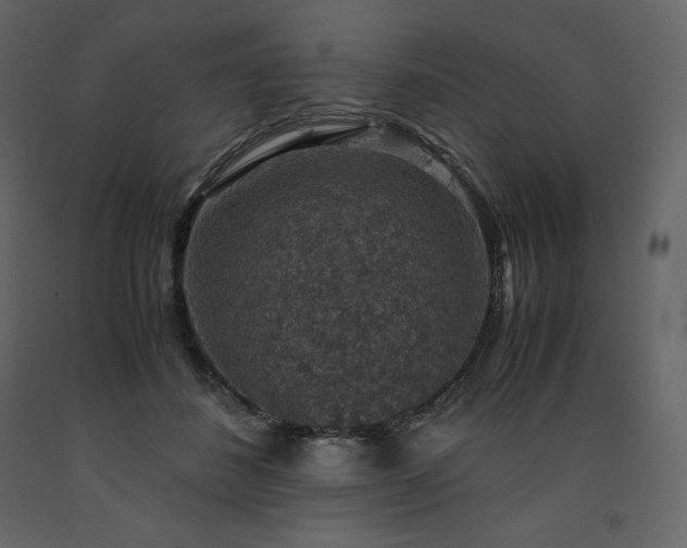 X0000091550508200708241758