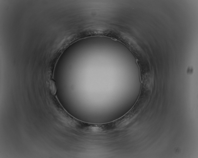 X0000091550509200708241758