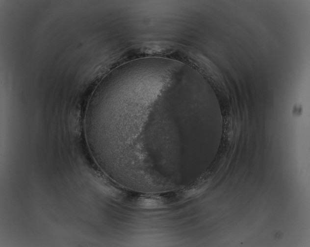 X0000091550510200708241758
