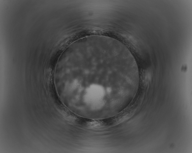 X0000091550511200708241758
