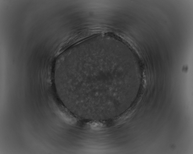 X0000091550512200708241758