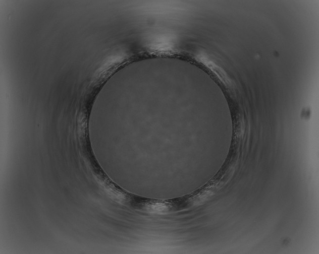 X0000091550513200708241758