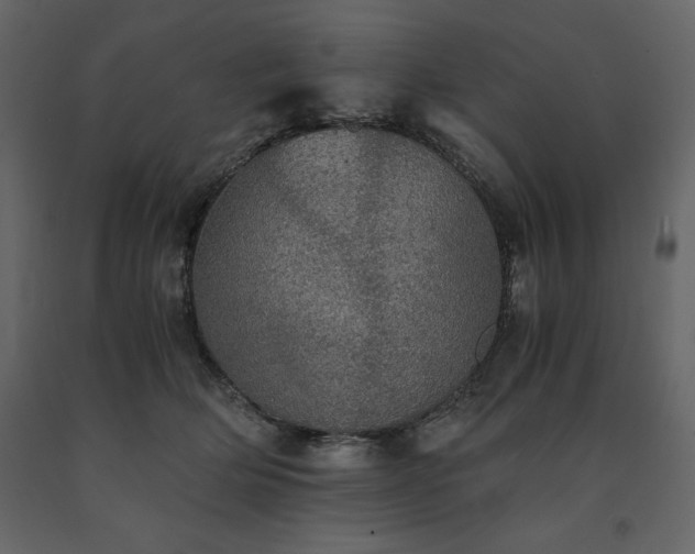 X0000091550514200708241758