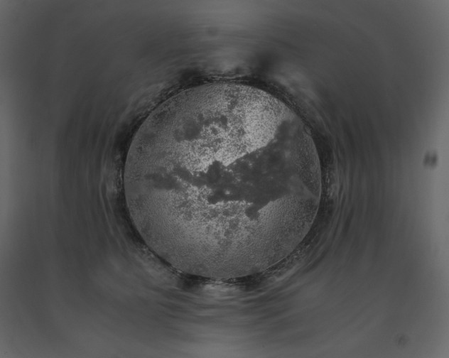 X0000091550515200708241758