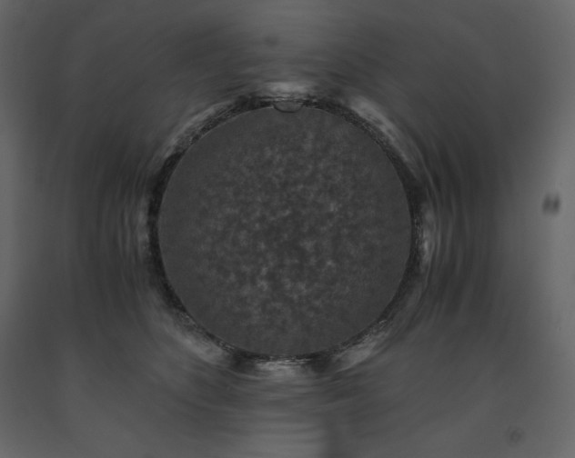 X0000091550516200708241758