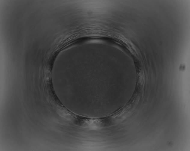 X0000091550517200708241758