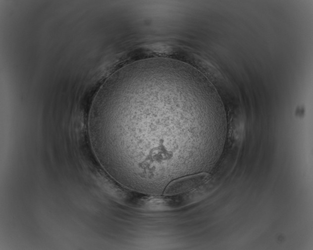 X0000091550518200708241758