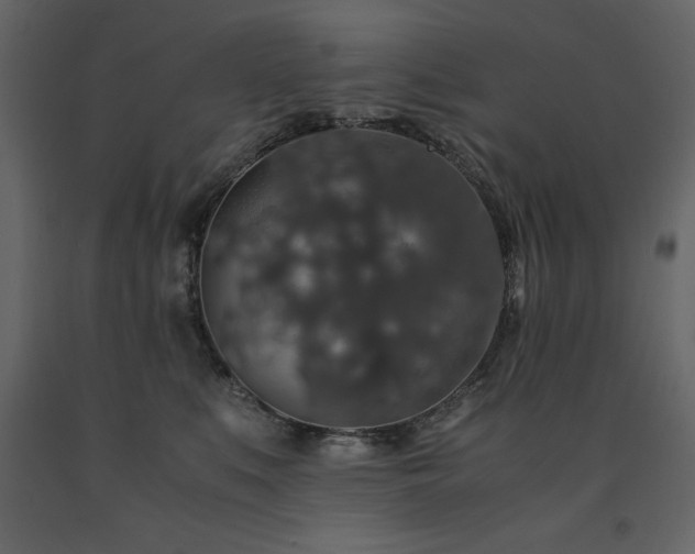 X0000091550519200708241758