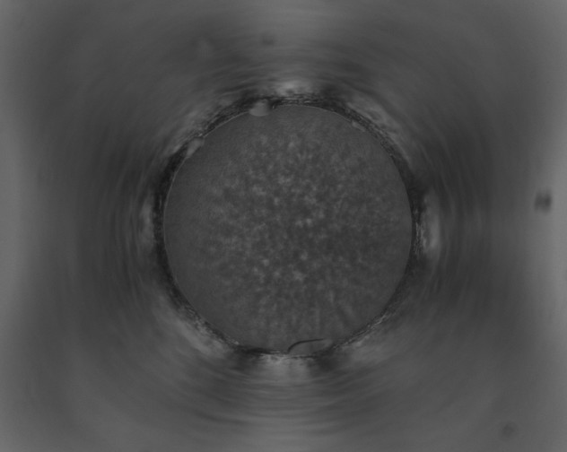 X0000091550520200708241758