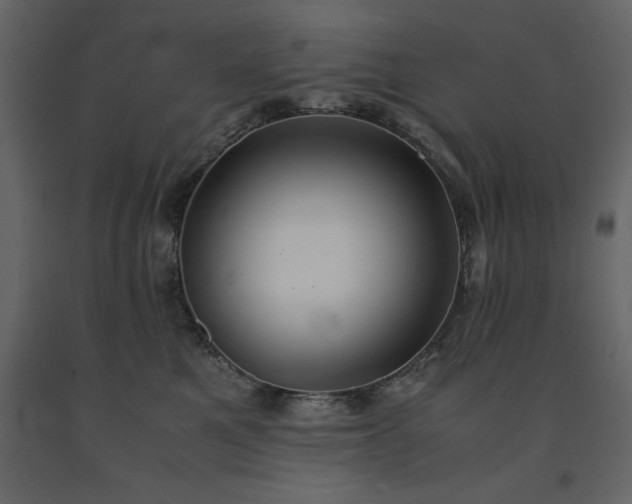 X0000091550521200708241758