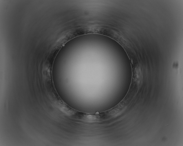 X0000091550522200708241758
