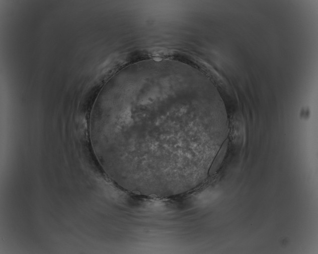 X0000091550523200708241758