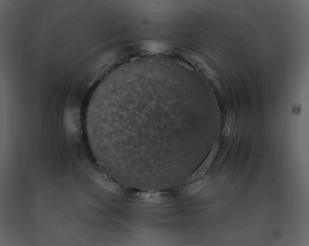X0000091550524200708241758