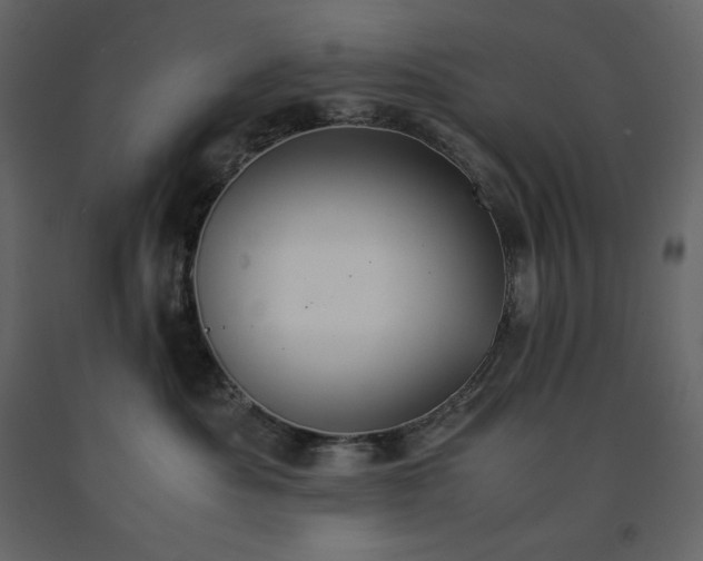 X0000091550525200708241758