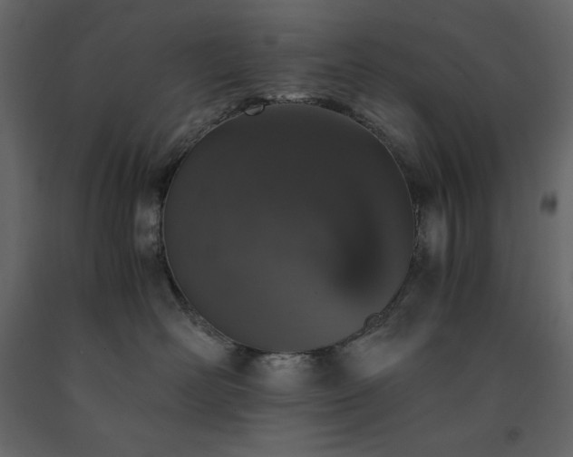 X0000091550526200708241758