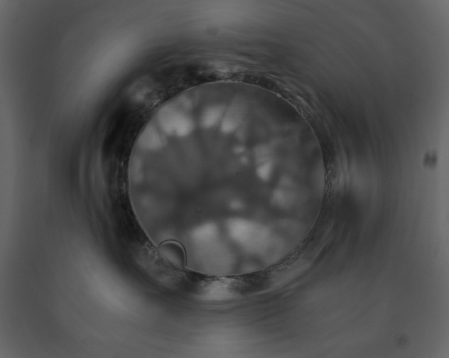 X0000091550527200708241758