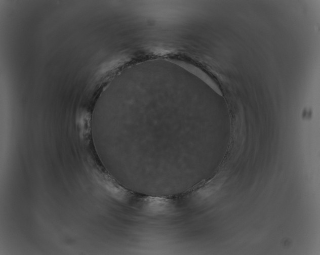 X0000091550528200708241758