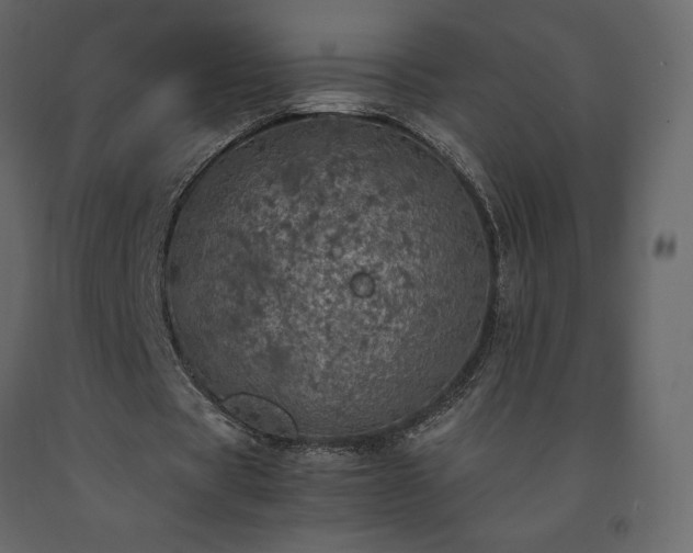 X0000091550529200708241757