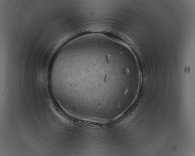 X0000091550530200708241757