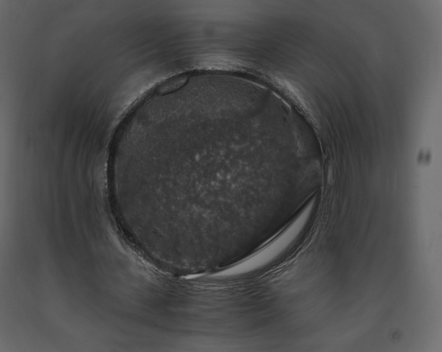 X0000091550531200708241757