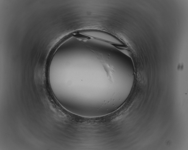 X0000091550532200708241757