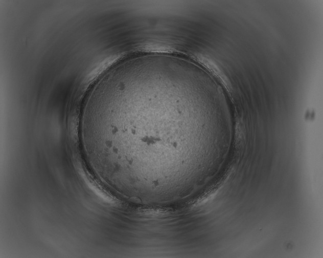 X0000091550533200708241757