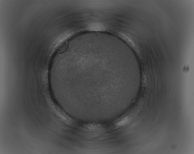 X0000091550535200708241757