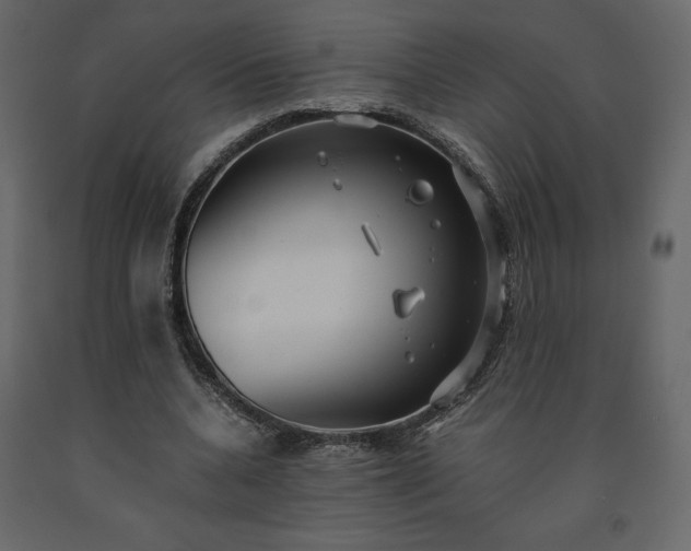 X0000091550536200708241757