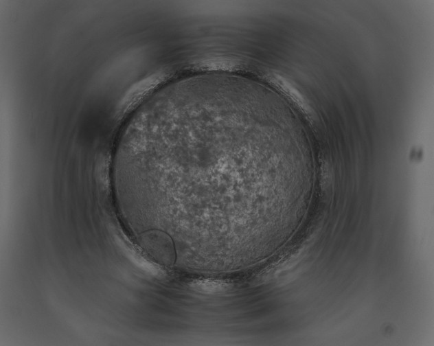 X0000091550537200708241757