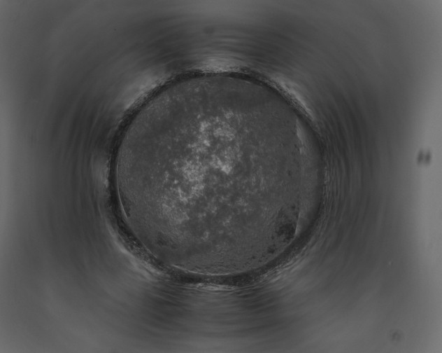 X0000091550539200708241757