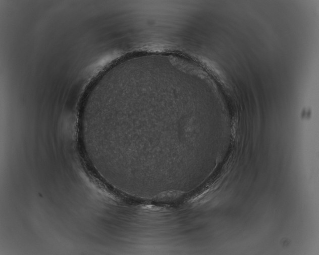 X0000091550540200708241757