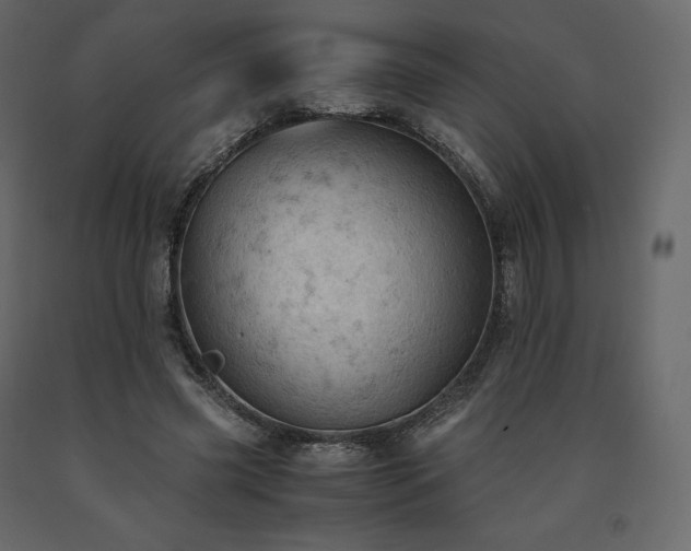 X0000091550541200708241757