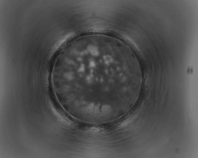 X0000091550542200708241757