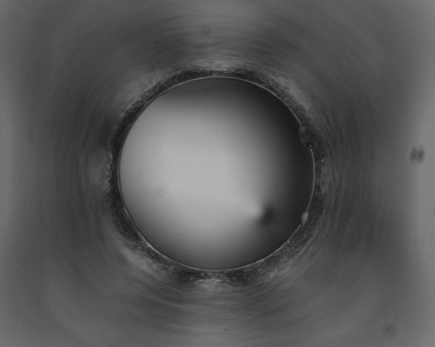 X0000091550544200708241757