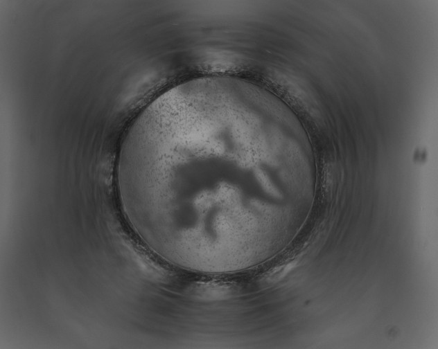 X0000091550545200708241757