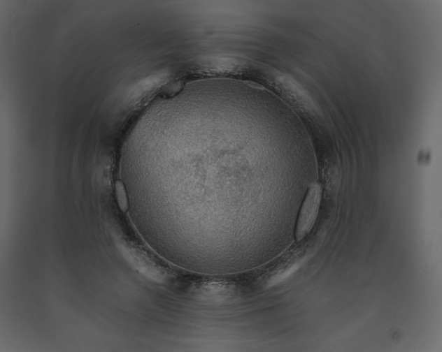 X0000091550546200708241757