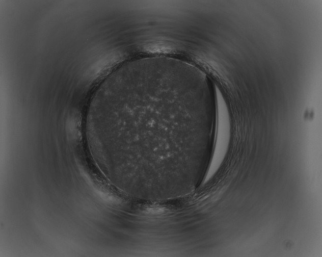 X0000091550547200708241757