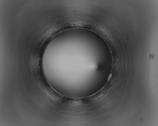 X0000091550548200708241757