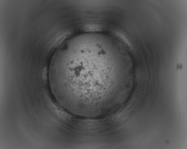 X0000091550549200708241757