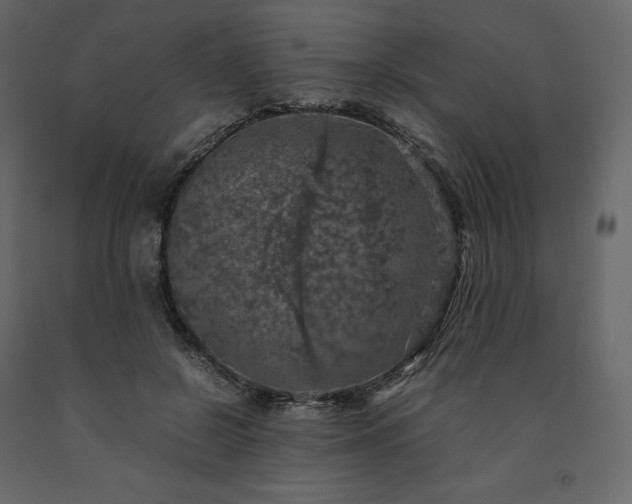 X0000091550550200708241757