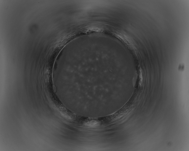 X0000091550551200708241757